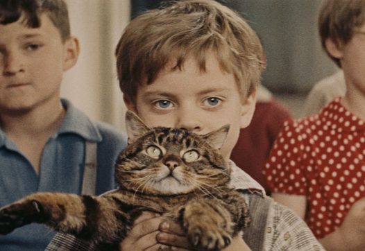 still from The Cassandra Cat (Vojtêch Jasný, CS 1963)y