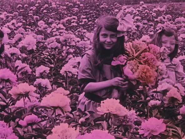 still from Fantastic Flowers (NL/BE/AT 2025)