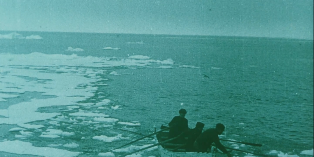 Polar Bear Hunting film still