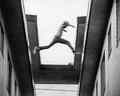 campaign image Everyday Blues – The Films of Charles Burnett
