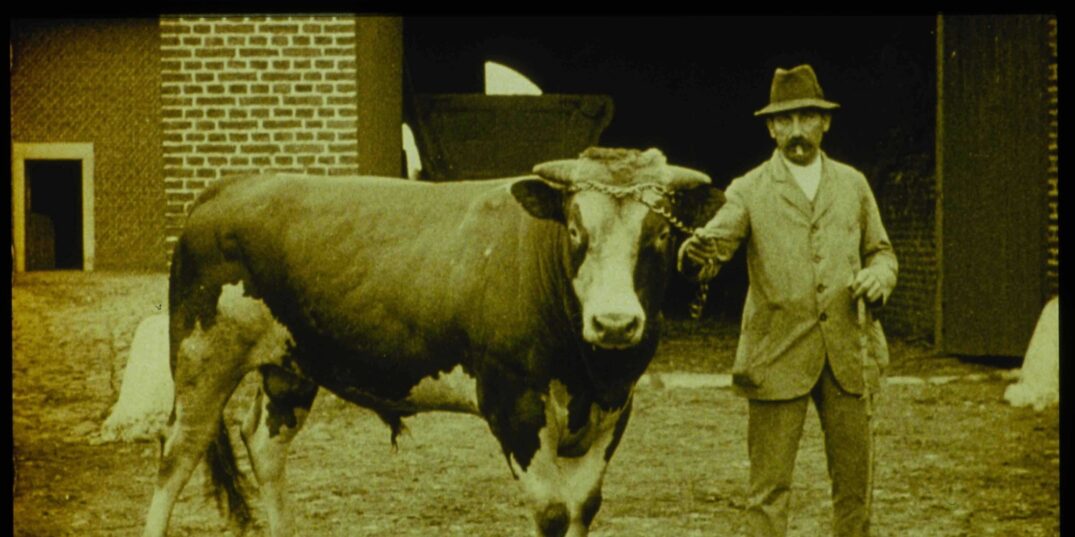 Still uit onderwijsfilm van Filmfabriek Hollandia