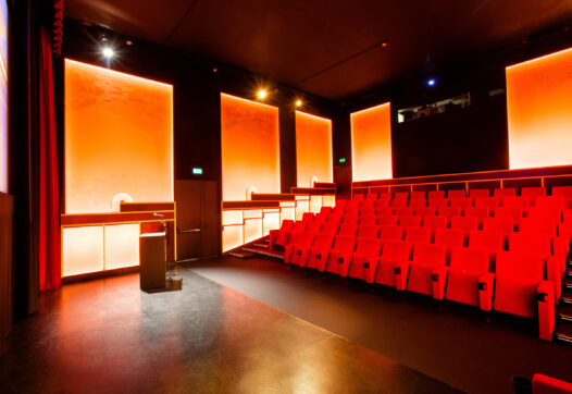 Eye Filmmuseum's Cinema 4 © Martin Hogeboom