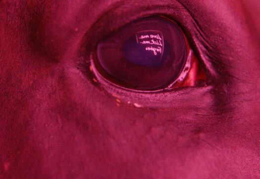Janis Rafa, The Space Between Your Tongue and Teeth, 2023.
