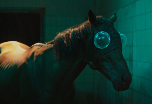 Janis Rafa, The Space Between Your Tongue and Teeth, 2023.