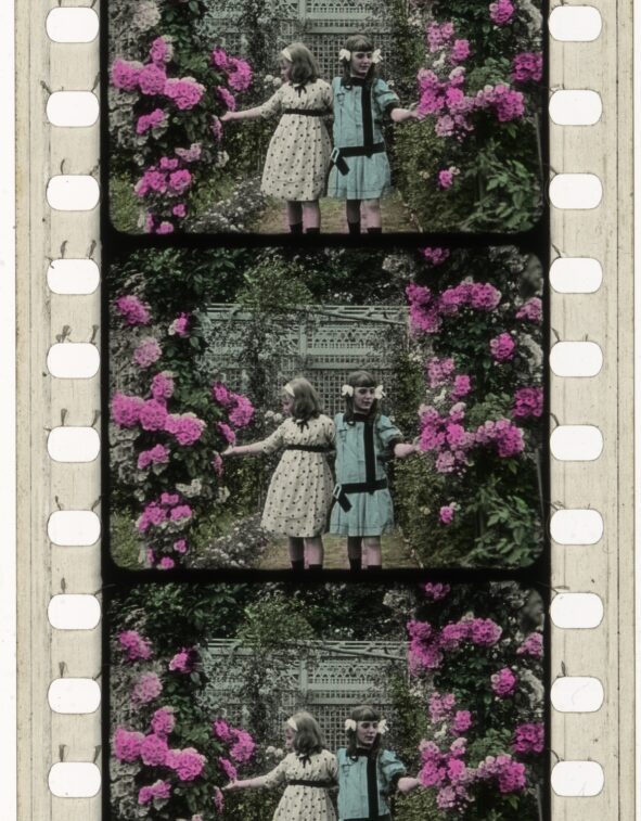 Een filmstrip met drie stills uit Les fleurs dans les jardins