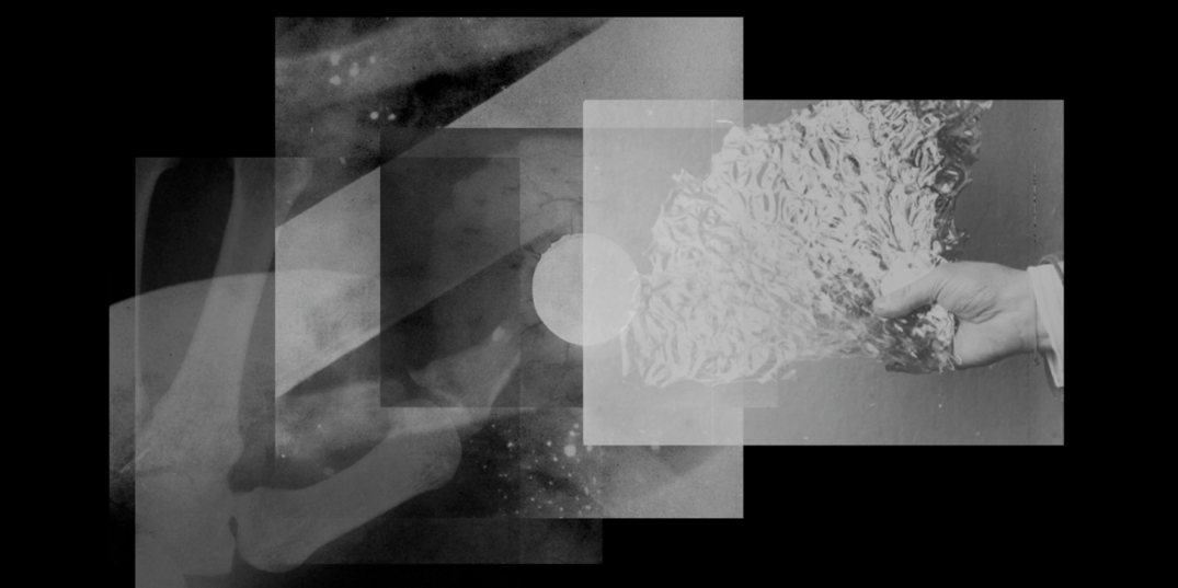 Resurrections door Alexandra Navratil.