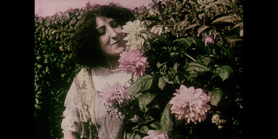 Een filmstill uit La culture du dahlia, een vrouw tussen bloemen
