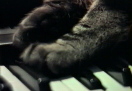 still uit Cat Listening to Music (Chris Marker, FR 1994)