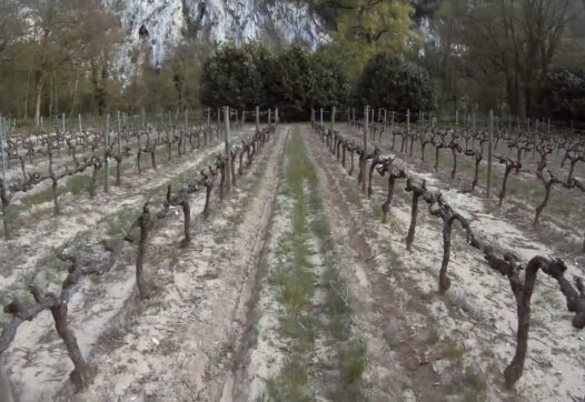 still uit Cave of Forgotten Dreams (Werner Herzog, US 2010)
