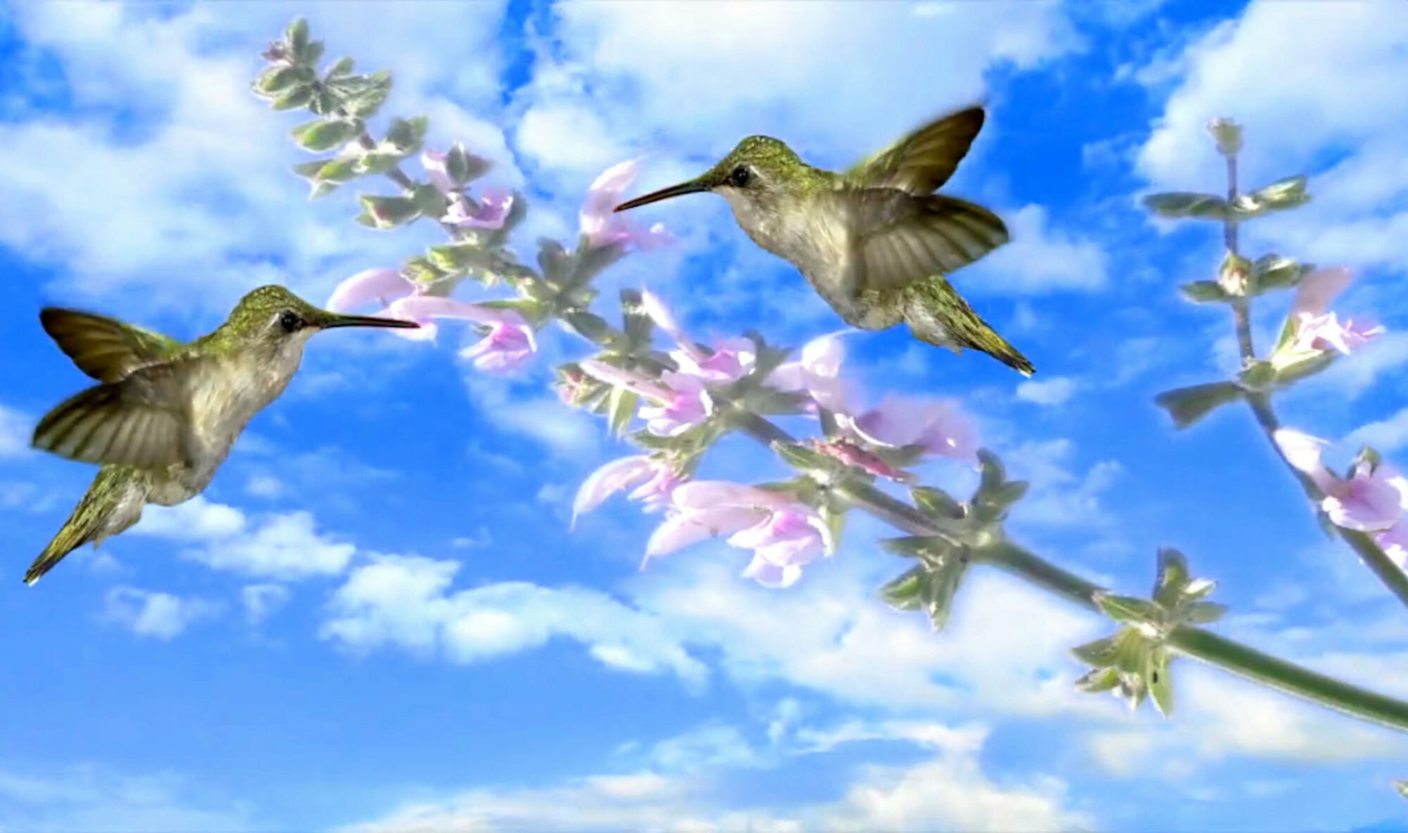 still uit Parallel I (Harun Farocki, DE 2011)