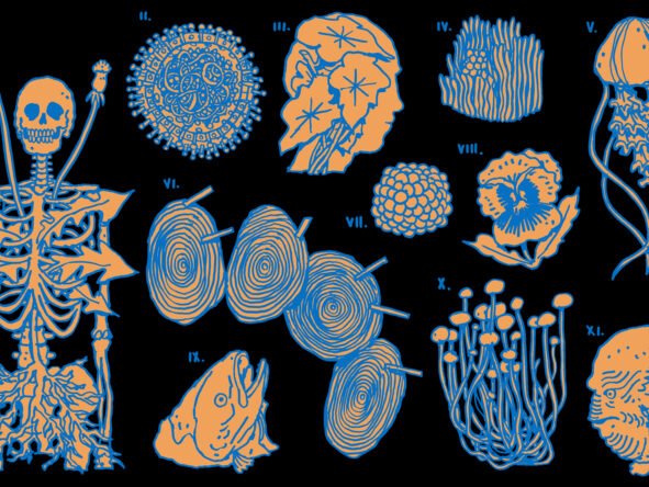 Illustratie van Joost Stokhof in geel en blauw op een zwarte achtergrond toont verschillende kleinere illustraties van cellen, amoeben, zeedieren, vissenkoppen en een menselijk skelet waar bloemen en planten uit de botten groeien (campagnebeeld Cinema Ecologica)